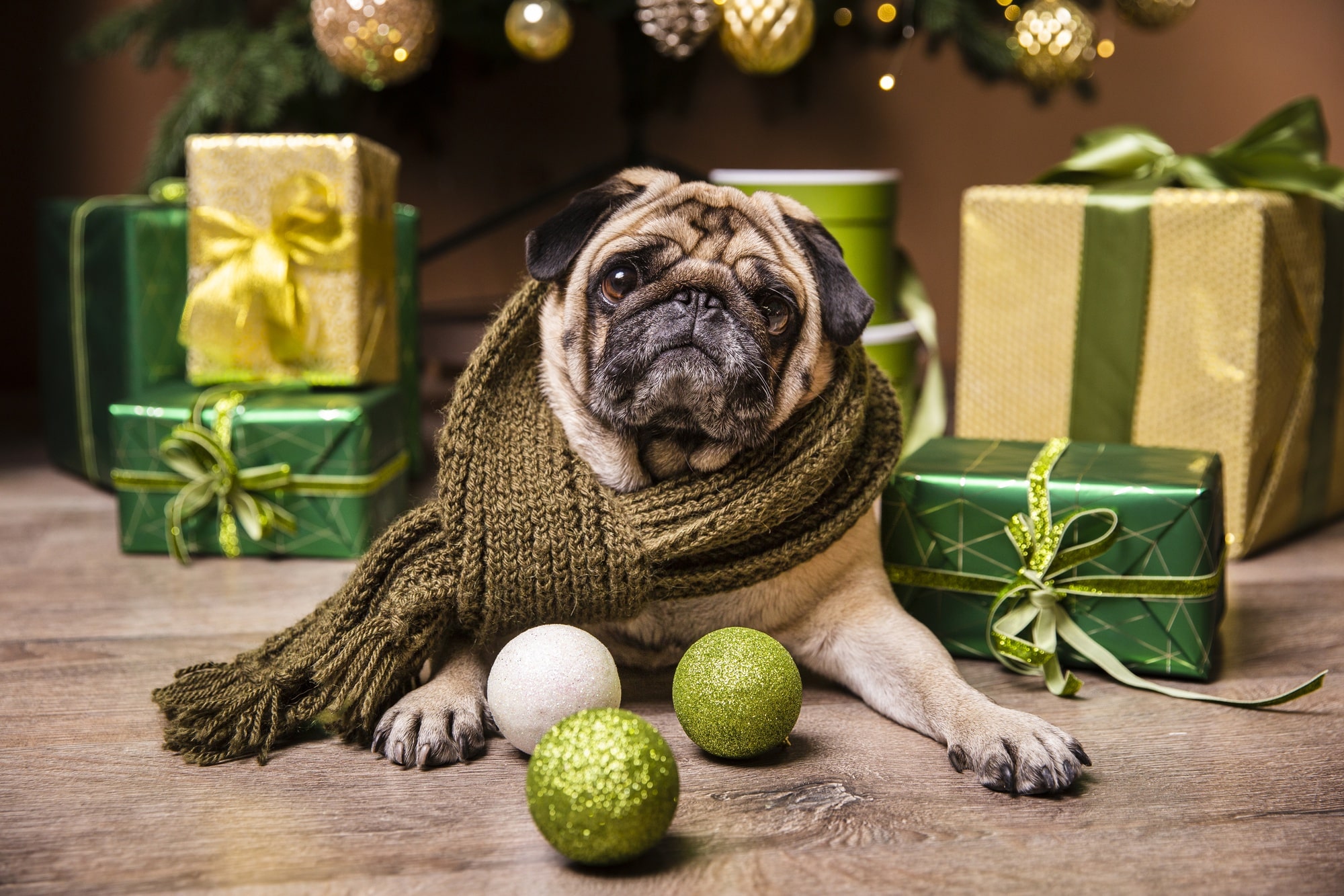 biscotti di Natale per il tuo cane